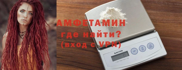 шишки Богородицк