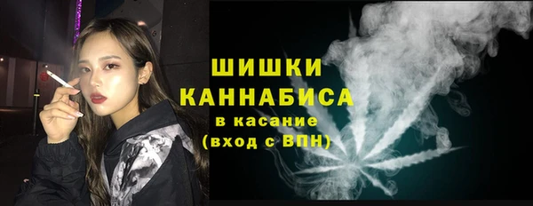 шишки Богородицк