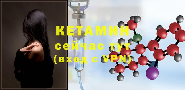 шишки Богородицк