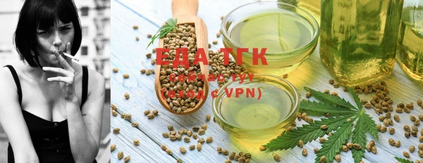 шишки Богородицк