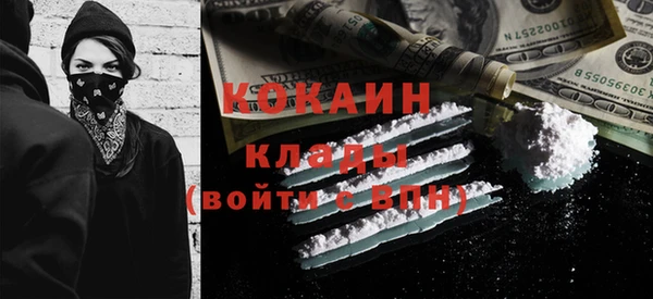 шишки Богородицк